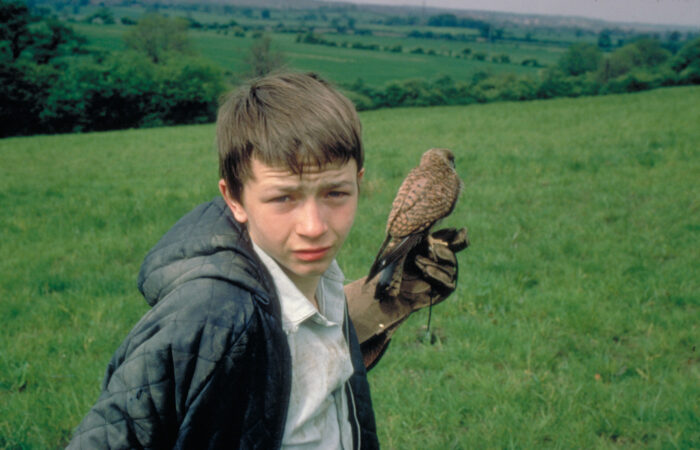 Ken Loach: Kes
