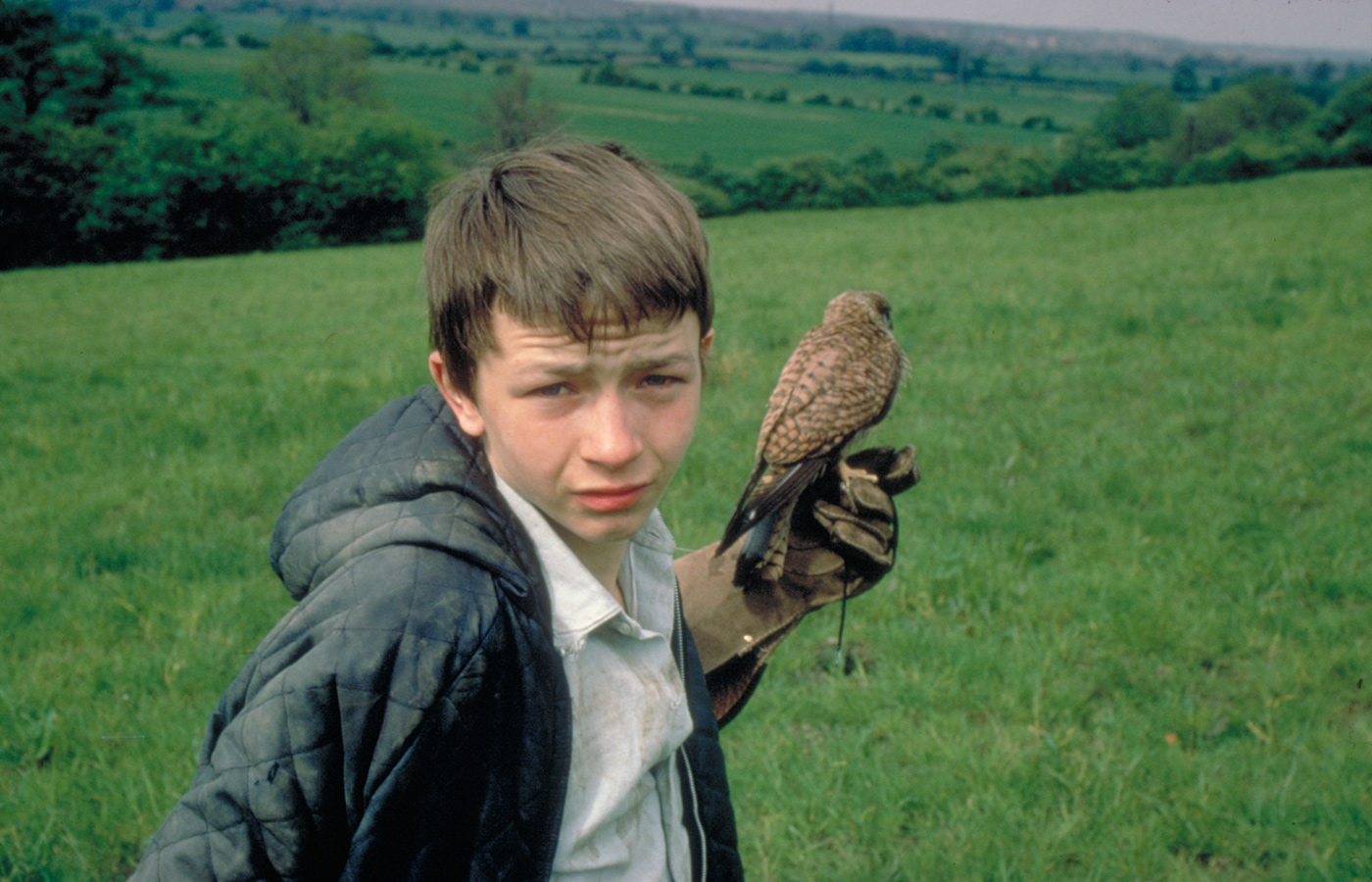 Ken Loach: Kes