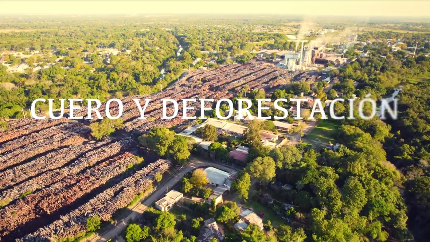 Cuero y deforestación